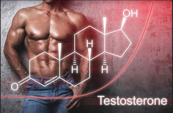 Testosterone là hormone sinh dục quan trọng với nam giới